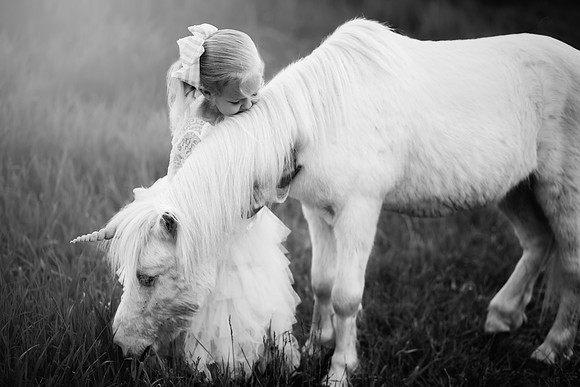 xSawyer Unicorn-27