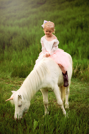Sawyer Unicorn-23