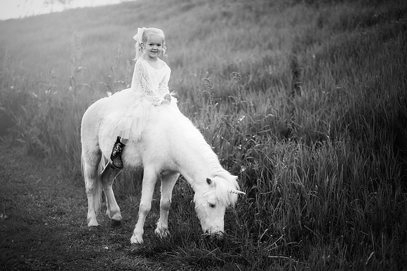 xSawyer Unicorn-9