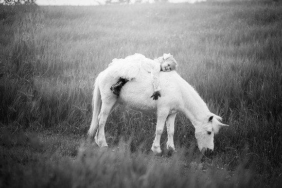 xSawyer Unicorn-12