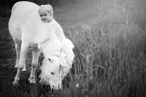 xSawyer Unicorn-19