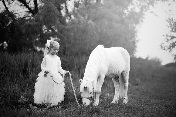 xSawyer Unicorn