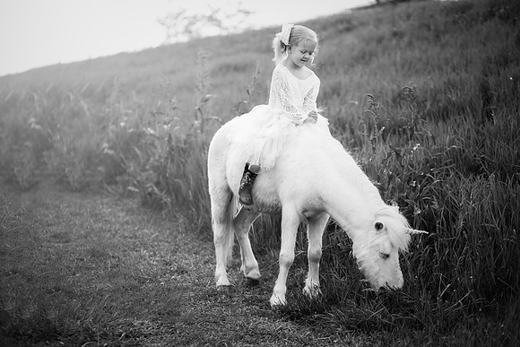 xSawyer Unicorn-10
