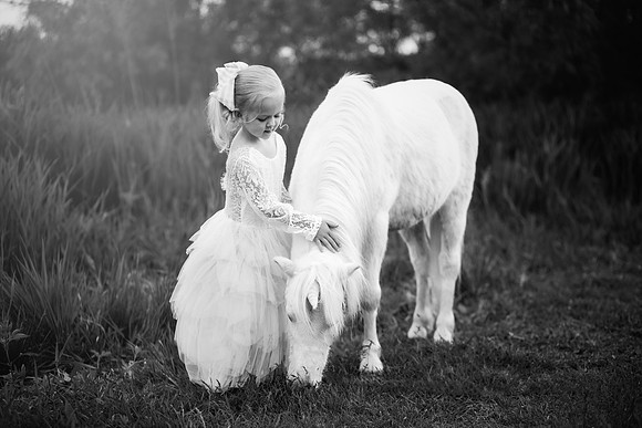 xSawyer Unicorn-7