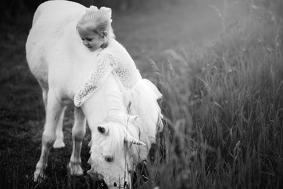 xSawyer Unicorn-18