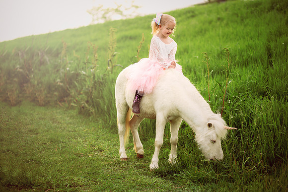 Sawyer Unicorn-10