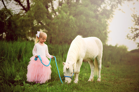 Sawyer Unicorn