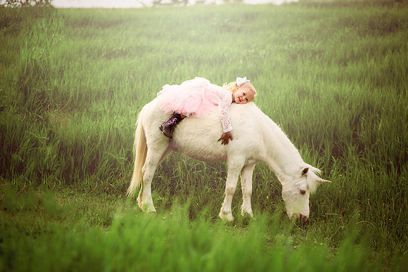 Sawyer Unicorn-12