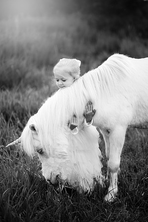 xSawyer Unicorn-28