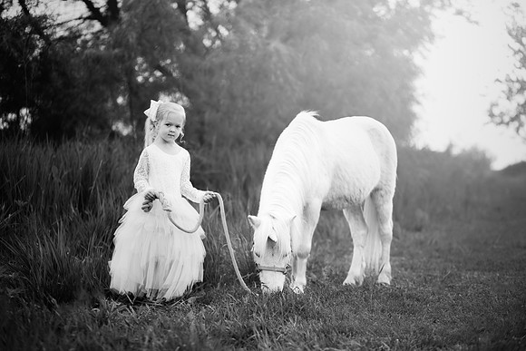 xSawyer Unicorn-2