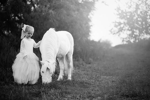xSawyer Unicorn-4