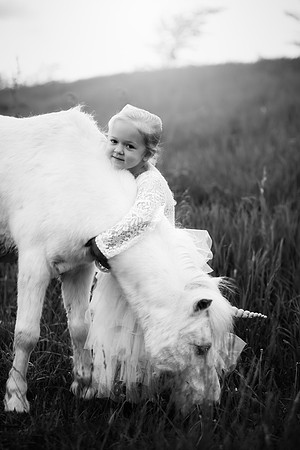 xSawyer Unicorn-15