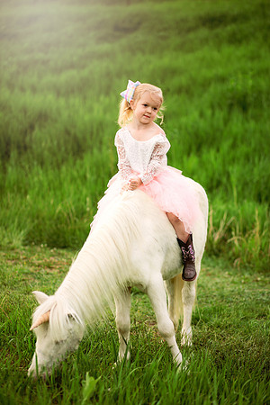 Sawyer Unicorn-24