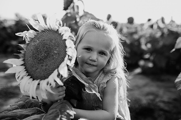 xSunflower 2022-75