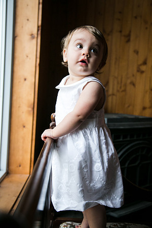 Wren 1yr-70