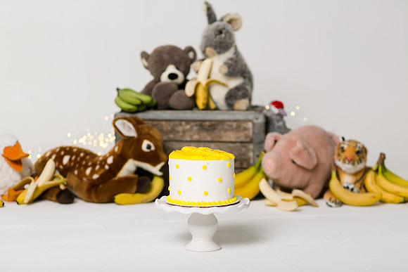 Patrick 1yr-41
