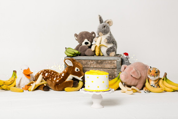 Patrick 1yr-42