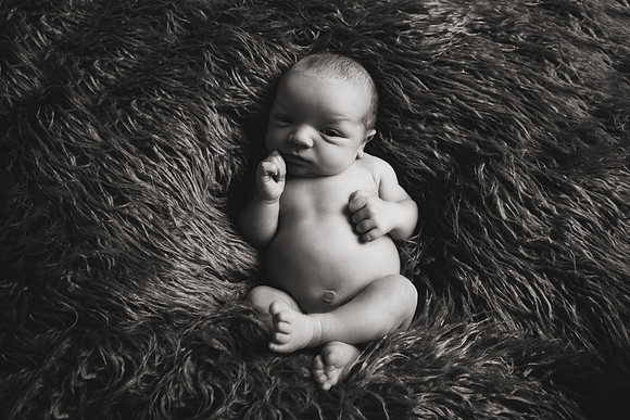 Patrick NB-31b&w