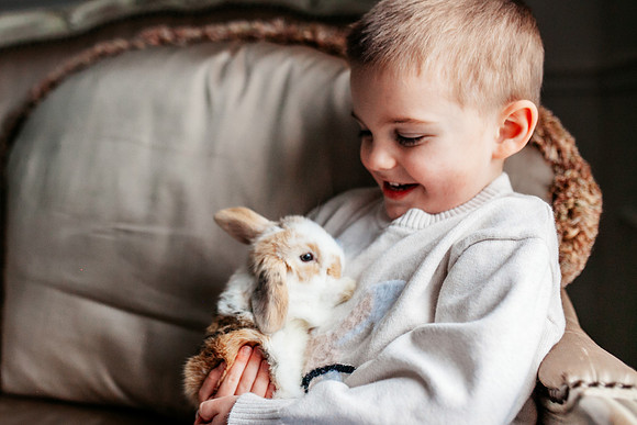 Bunny 2025-18