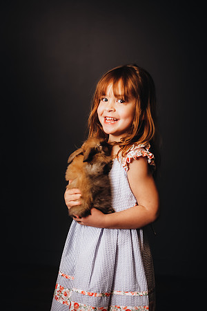 Bunny-3