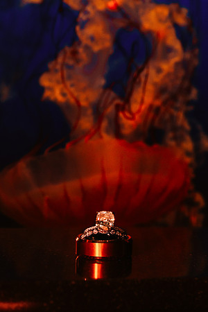 Wedding-545
