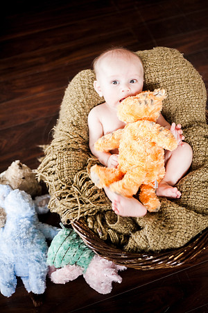 Toby 4mth-77