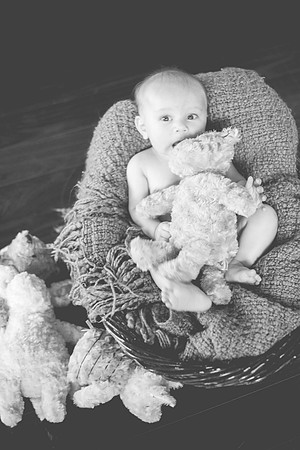 Toby 4mth-78