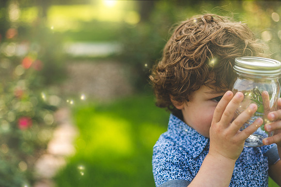 Fireflies 2019-51