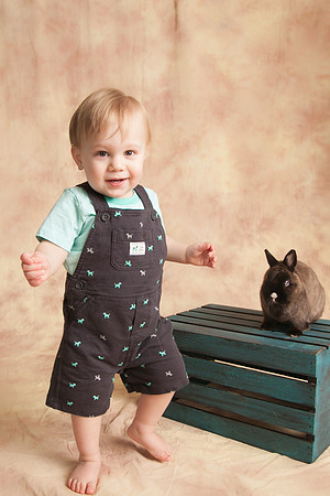 Toby-Bunny-2016-23