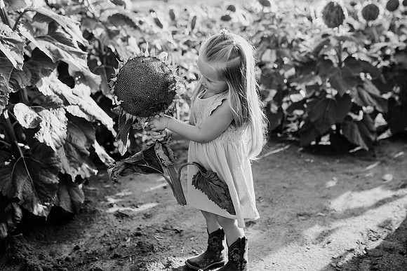 xSunflower 2022-82
