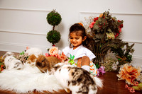 Bunny 2026-20