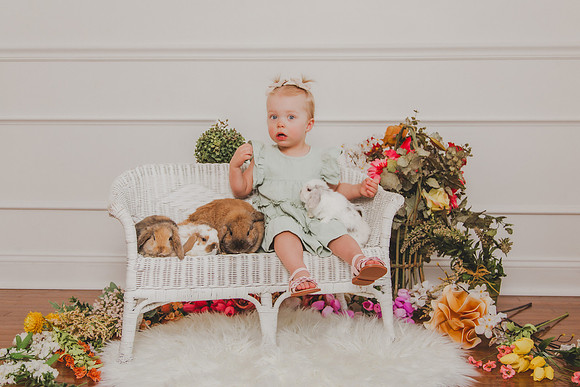 Bunny 2026-8