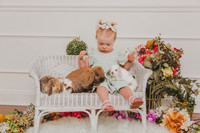Bunny 2026-10