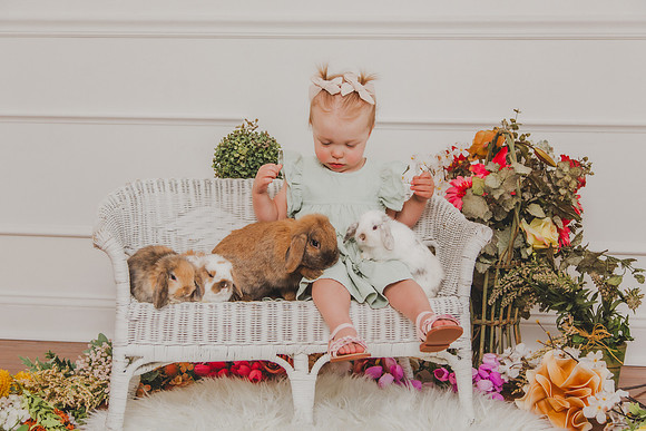 Bunny 2026-10