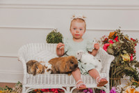 Bunny 2026-11