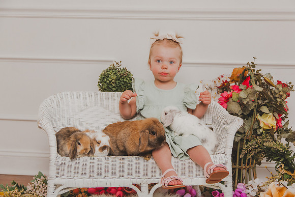 Bunny 2026-11
