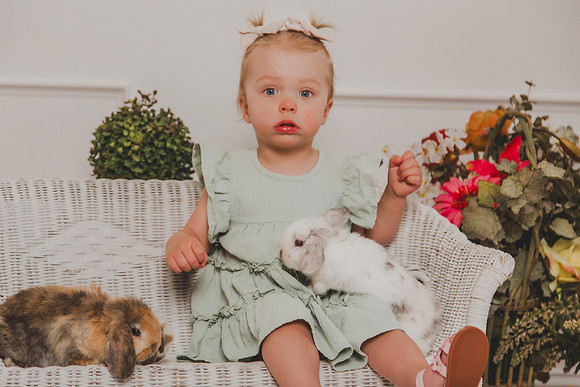 Bunny 2026-12