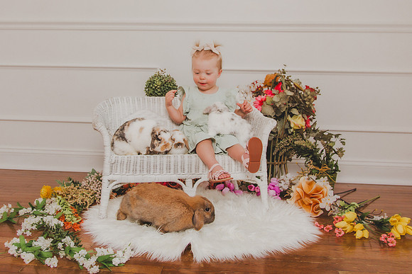 Bunny 2026-16