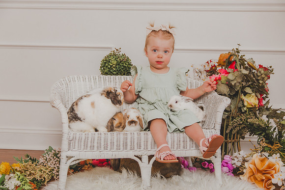 Bunny 2026-17