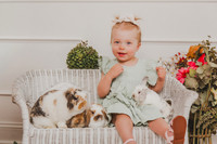 Bunny 2026-19