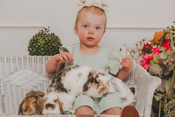Bunny 2026-25