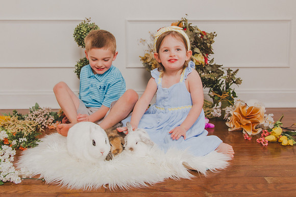 Bunny 2026-6