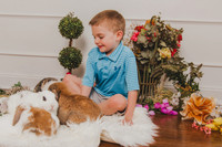 Bunny 2026-15