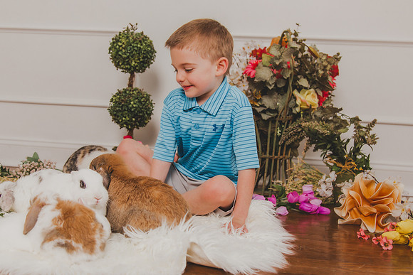 Bunny 2026-15