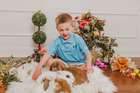 Bunny 2026-16