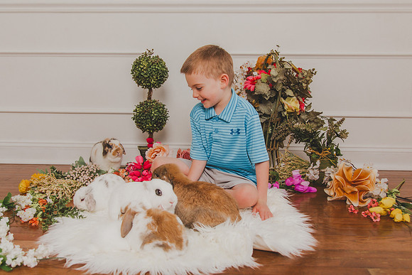 Bunny 2026-14