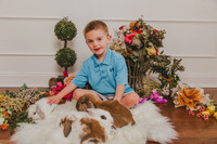 Bunny 2026-17