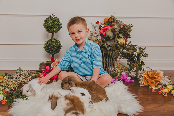 Bunny 2026-17