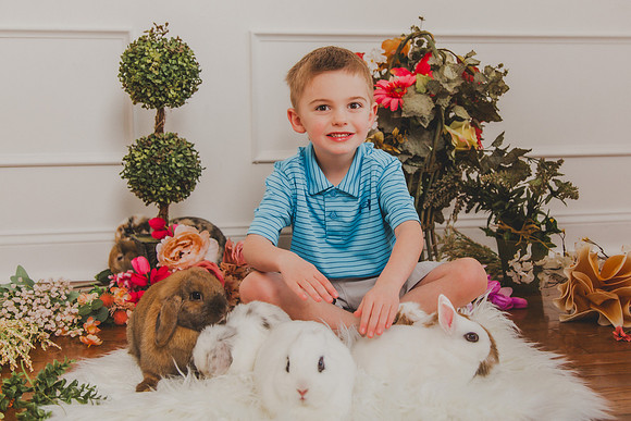 Bunny 2026-19