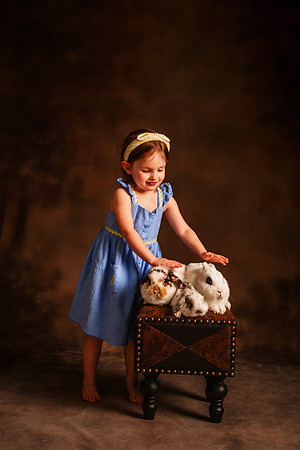 Bunny 2026-27